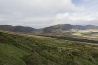Cjp_2017-04-11_095354 (2).jpg
